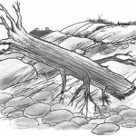 倒进河里的大树是最常见的一种过滤网。过滤网就是指水里的障碍物，水可以从中流过，但人和船却会被绊倒。倒进水里的树木通常都在急流转弯时河道的外侧