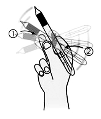 如何绕着大拇指转笔