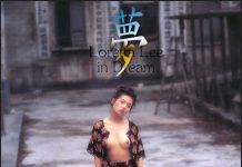 李丽珍 in dream 梦 写真集
