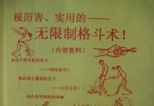 陈鹤皋——无限制格斗术