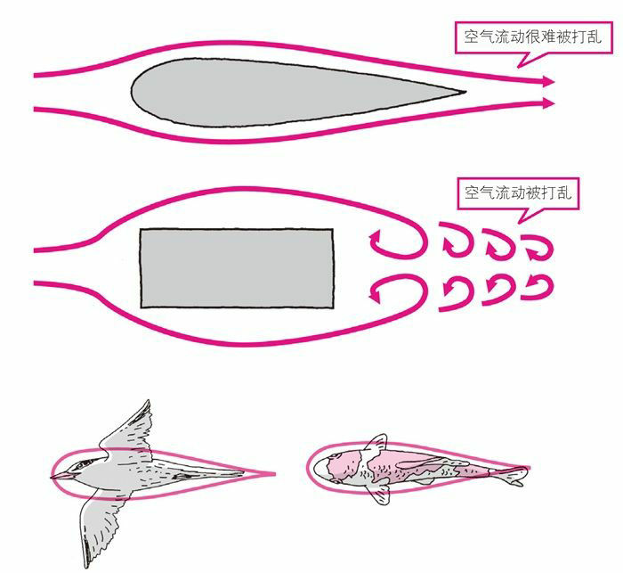 汽车的形状与空气流动的关系