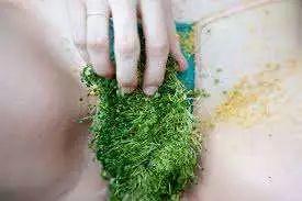 生态性爱主义是TM什么鬼