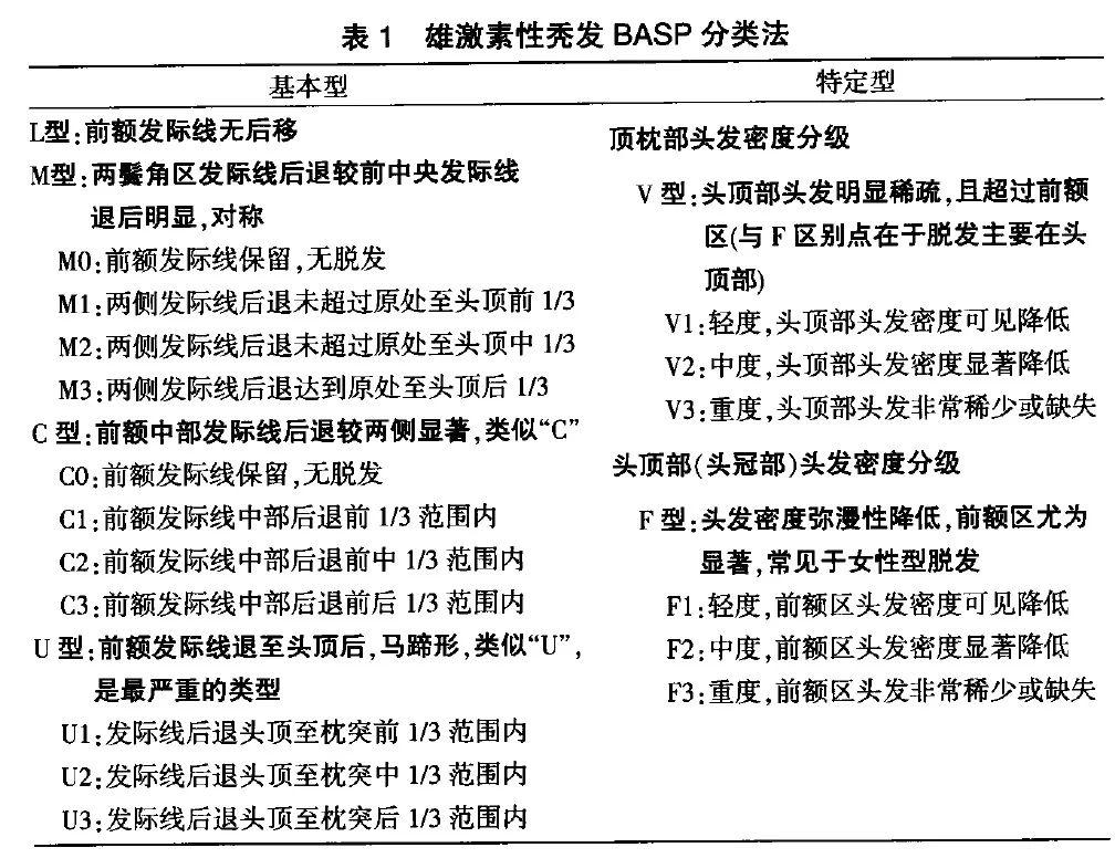 防脱防秃实用指南 雄激素性脱发BASP分类法