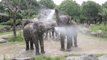 男人真的会精尽人亡吗？