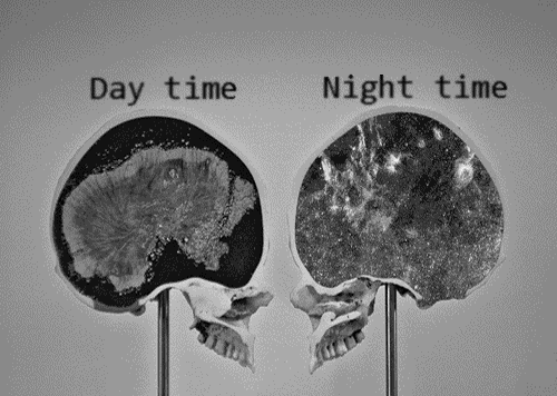 手把手教你做一个湿漉漉的梦