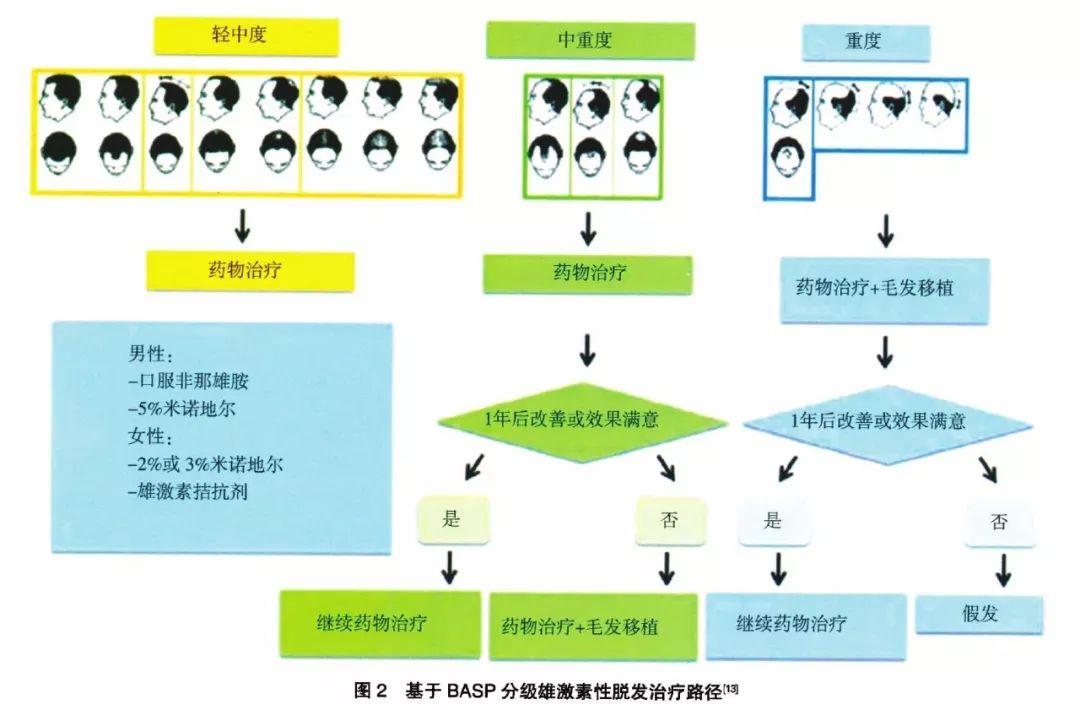 防脱防秃实用指南 「雄激素性脱发」治疗路径
