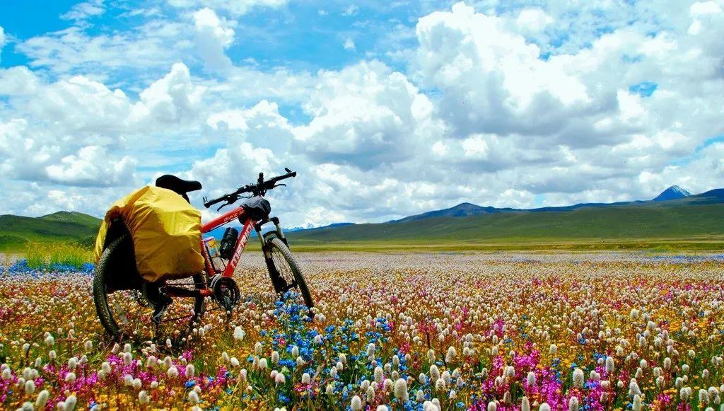 我是川藏线，暑期到了我现在慌得一批