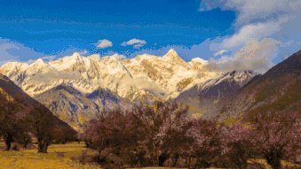 我是川藏线，暑期到了我现在慌得一批