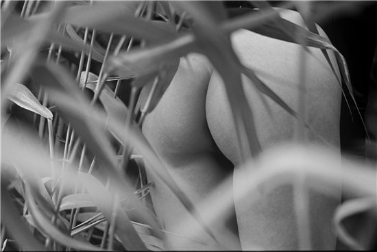 颜芮—《醉人的黄昏》