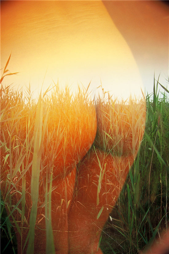 王伟 metcn相约中国写真