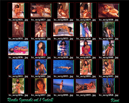 五十岚纪子 Noriko Igarashi 写真目录