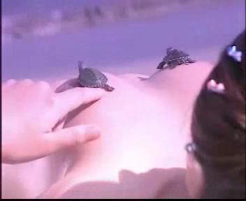 金装纯美集-程嘉美写真