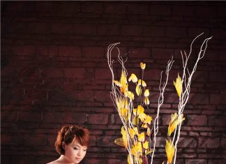 菲菲 丽图写真