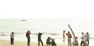丽诗 LITU丽图写真