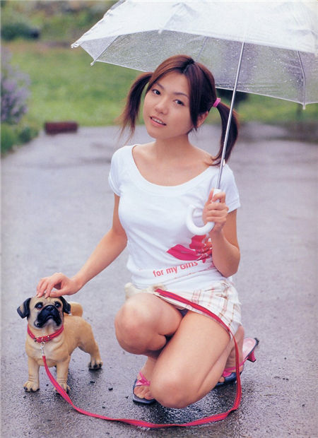 新・制服美少女図鑑'04