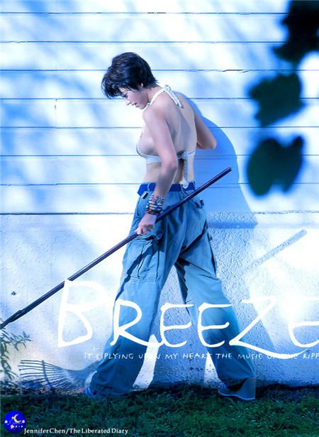 陈纯甄《The Librarated Diary》