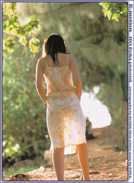 Enya Scan 扫图合集