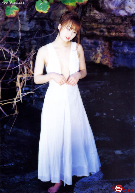 Frozen Rose Scan 写真
