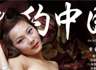 苗燕 相约中国metcn