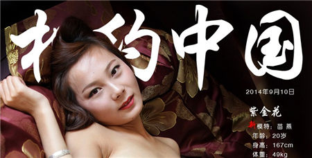 苗燕 相约中国metcn