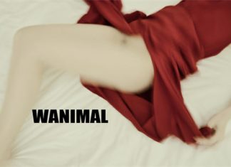 [WANIMAL王动] 2017年01月作品集