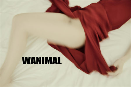 [WANIMAL王动] 2017年01月作品集