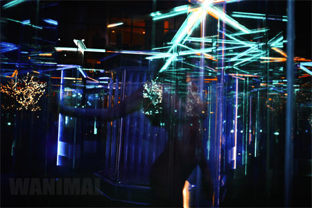 [WANIMAL王动] 2017年01月作品集