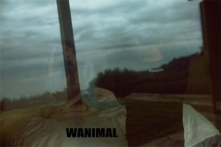 [WANIMAL王动] 2017年01月作品集